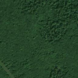 Satellite imagery of 5427902 - 1, DE
