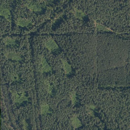 Satellite imagery of Spálený kopec [Rapšach], CZ