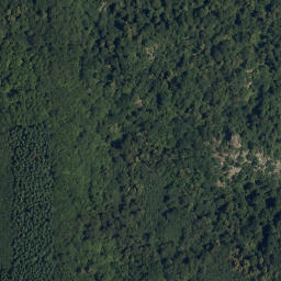 Satellite imagery of Býčí hora, CZ