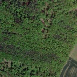 Satellite imagery of Čížovský kopec [Lukov nad Dyjí], CZ