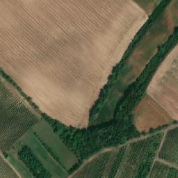 Satellite imagery of (Odměrky u Bílovic [Čejkovice]), CZ