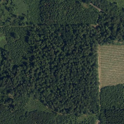 Satellite imagery of Dunkelkopf, AT