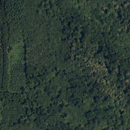 Satellite imagery of Býčí hora, CZ