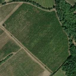 Satellite imagery of Obora, CZ