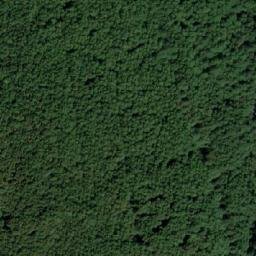 Satellite imagery of (U Bětina javoru) [Strání], CZ