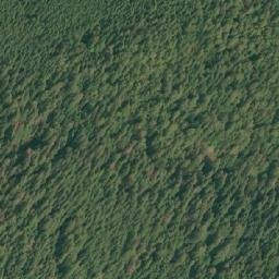 Satellite imagery of Pachena Cone, CA