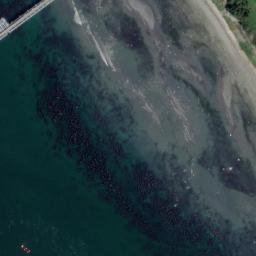 Satellite imagery of Cherry Point, US