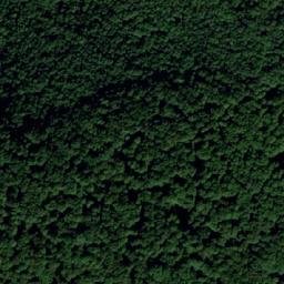 Satellite imagery of Jelenec (věž), CZ