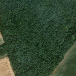 Satellite imagery of Roter Buckel, DE