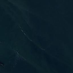 Satellite imagery of Edith Point, CA
