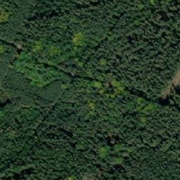 Satellite imagery of (Dolní les) [Petříkov-Těšínov], CZ