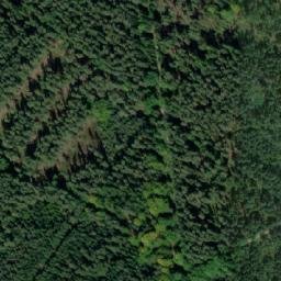 Satellite imagery of (Dolní les) [Petříkov-Těšínov], CZ