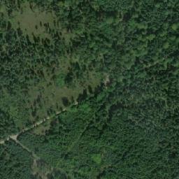 Satellite imagery of (Dolní les) [Petříkov-Těšínov], CZ