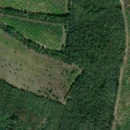 Satellite imagery of Syslík, CZ