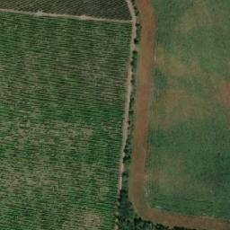 Satellite imagery of Syslík, CZ