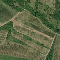 Satellite imagery of Pálava, CZ