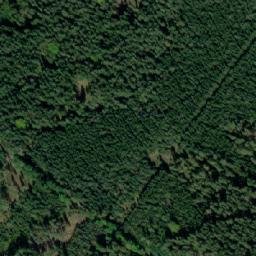 Satellite imagery of (Dolní les) [Petříkov-Těšínov], CZ