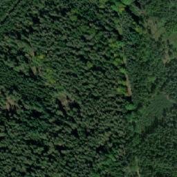 Satellite imagery of (Dolní les) [Petříkov-Těšínov], CZ