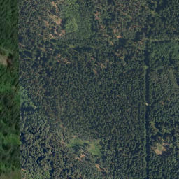 Satellite imagery of Beníškův kopec [Rapšach], CZ