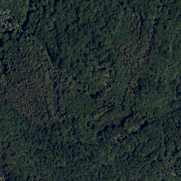 Satellite imagery of Gališ [Lukov nad Dyjí], CZ