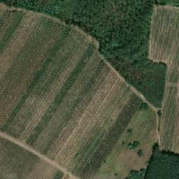 Satellite imagery of Syslík, CZ