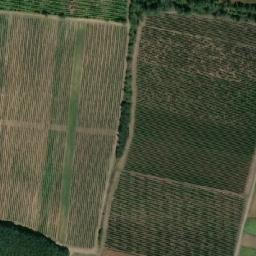 Satellite imagery of Syslík, CZ