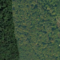 Satellite imagery of survey_point, UA