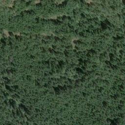 Satellite imagery of Little Sicker Mountain, CA
