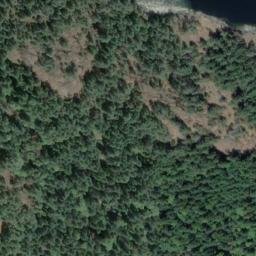 Satellite imagery of Grave Point, CA