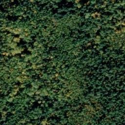 Satellite imagery of Regal Mine, US