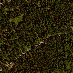 Satellite imagery of Sulzberg, DE