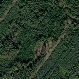 Satellite imagery of (Dolní les) [Petříkov-Těšínov], CZ