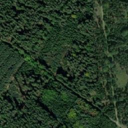Satellite imagery of (Dolní les) [Petříkov-Těšínov], CZ