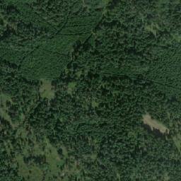 Satellite imagery of (Dolní les) [Petříkov-Těšínov], CZ