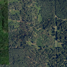 Satellite imagery of Beníškův kopec [Rapšach], CZ