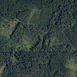 Satellite imagery of Hřeben [Rapšach], CZ