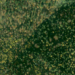 Satellite imagery of survey_point, SK