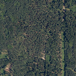 Satellite imagery of Beníškův kopec [Rapšach], CZ