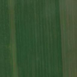 Satellite imagery of (Za šupkovým) [Hrušovany nad Jevišovkou], CZ