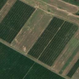 Satellite imagery of (Od Ladné [Velké Bílovice]), CZ