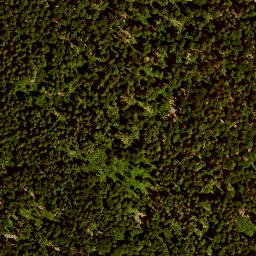 Satellite imagery of Großer  Lichtenberg, DE