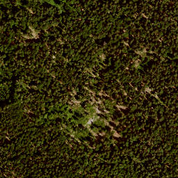 Satellite imagery of Eibenberg, DE