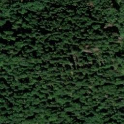 Satellite imagery of Černý les [Boletice-Uhlíkov], CZ