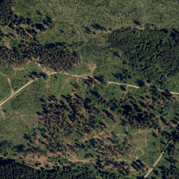 Satellite imagery of Loosberg, AT