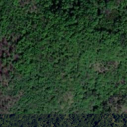Satellite imagery of Steinerne Wand, AT