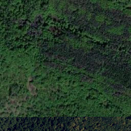 Satellite imagery of Steinerne Wand, AT