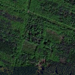 Satellite imagery of Steinerne Wand, AT