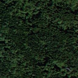 Satellite imagery of Schwanner Warte, DE