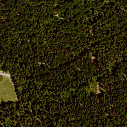 Satellite imagery of Großer  Lichtenberg, DE