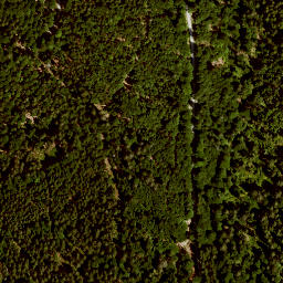 Satellite imagery of Großer  Lichtenberg, DE